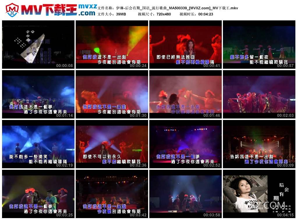 伊琳-后会有期_国语_流行歌曲_MA500339